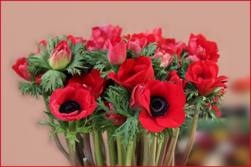 19 02 11 - 475 rs.jpg
